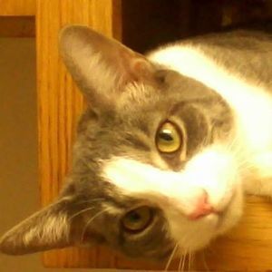 Meet your Posher, Maryam