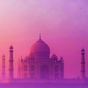 Meet your Posher, Ren?