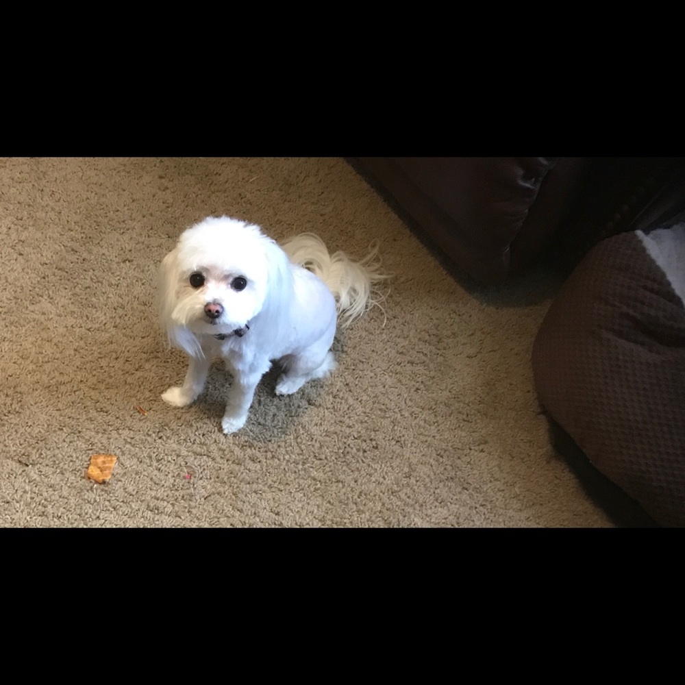 Meet your Posher, Lorena