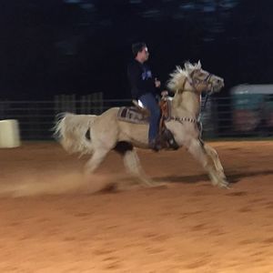 Meet your Posher, Trent