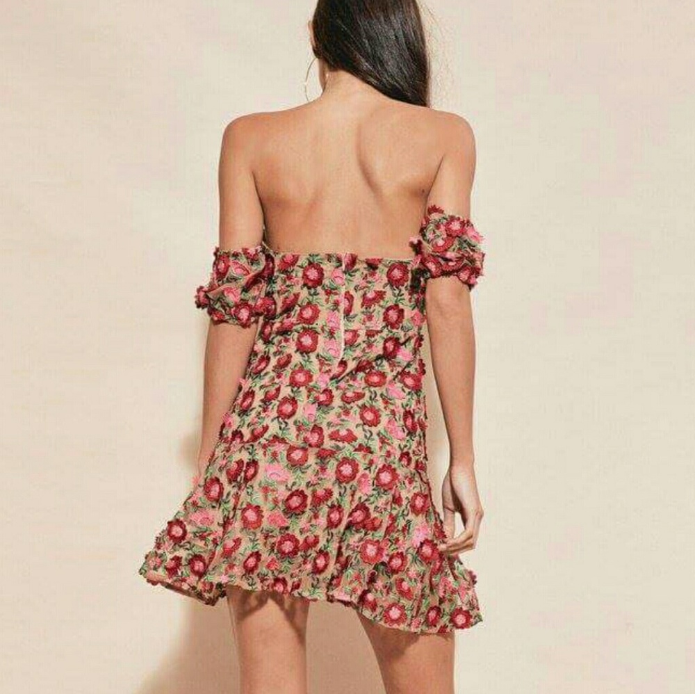 LAST ONE NWT FOR LOVE & LEMONS MINI DRESS. - Picture 6 of 8