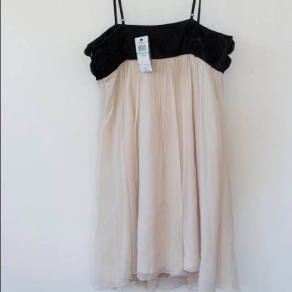 BGBG Black and White Baby Doll Dress