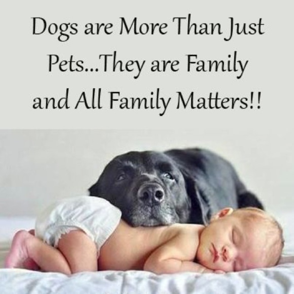 👶🏻❤️🐶