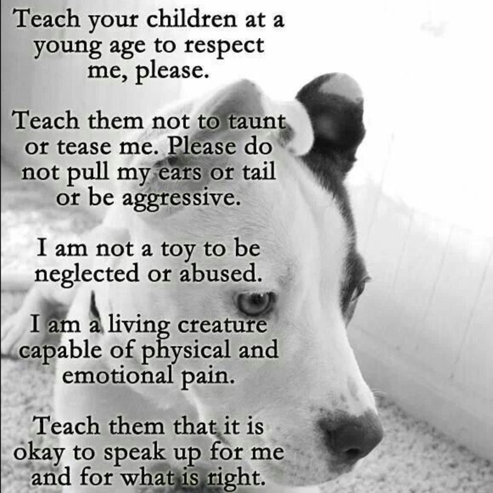 YOU have a voice!