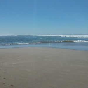 Meet your Posher, Dina