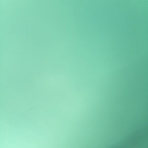 Meet your Posher, Joy