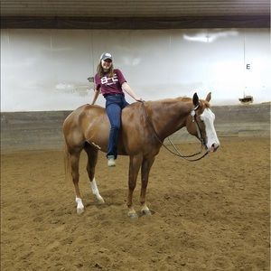 Meet your Posher, Maddie