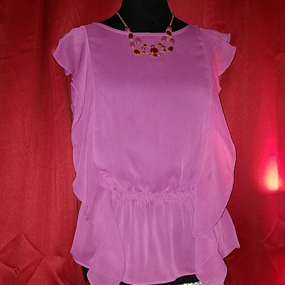 Gently Worn Susie Rose Semi Sheer Blouse