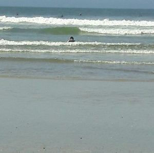 Meet your Posher, Elisa