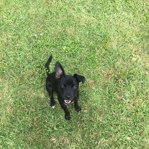 Meet your Posher, Mel