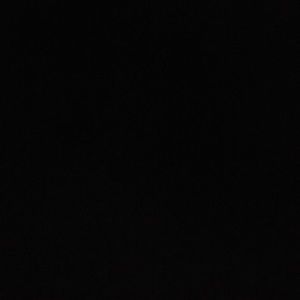 Meet your Posher, Delaney