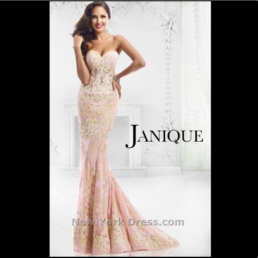 Janique 542 blush appliqué dress