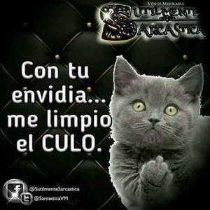 Meet your Posher, Ada