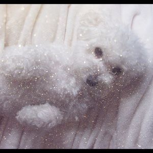 Meet your Posher, Amelie