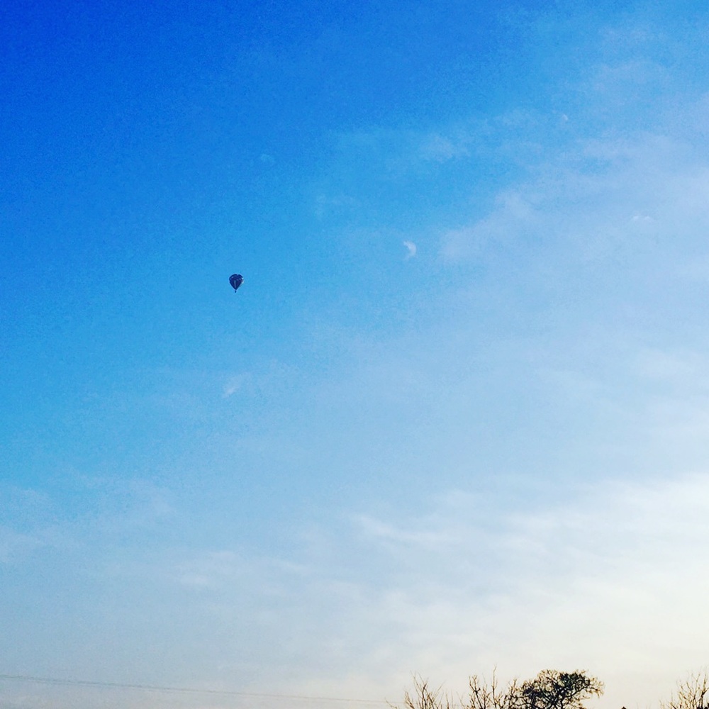 Meet your Posher, Sheila