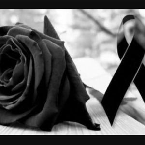 Meet your Posher, Sofia