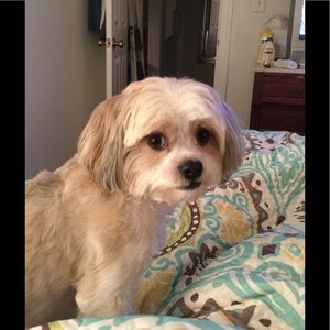 Meet your Posher, Joyce