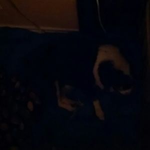 Meet your Posher, Felipe