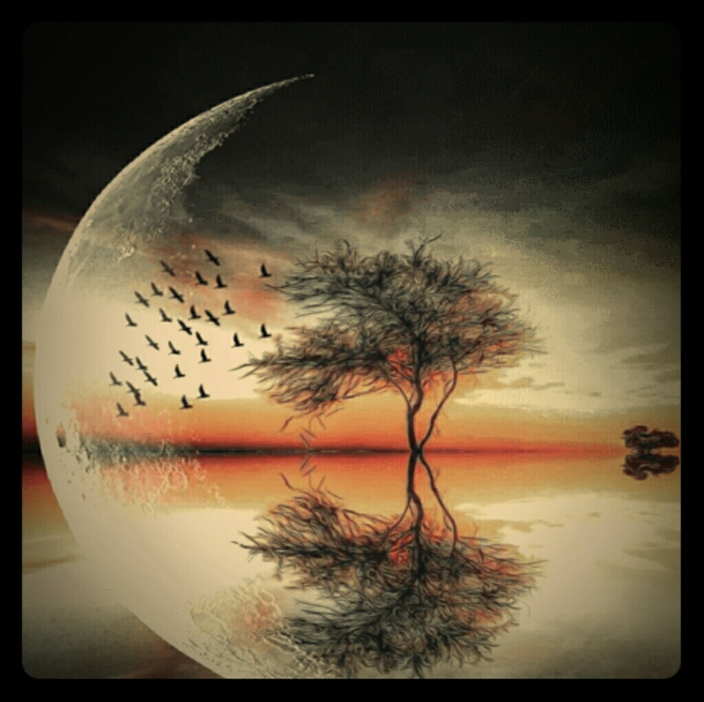 Meet your Posher, Carrie