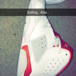 Jordan Retros , Alternate 6s