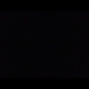 Meet your Posher, Rex