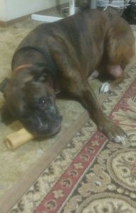 Meet your Posher, Luckie