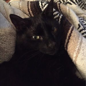 Meet your Posher, Erin