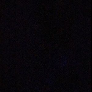 Meet your Posher, Carey