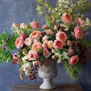 Meet your Posher, Manyse