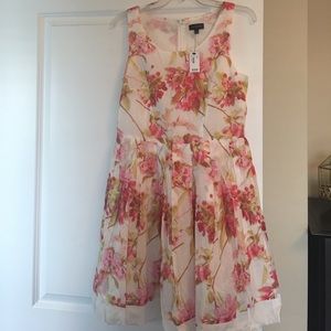 Beautiful cotton pleated dress