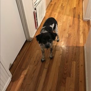 Meet your Posher, Michael