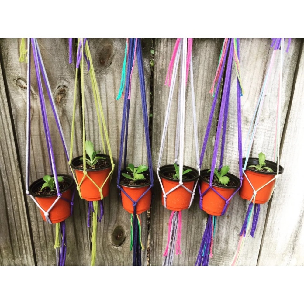 3 Macramé Plant Pot Holder Hanger Succulent Cactus