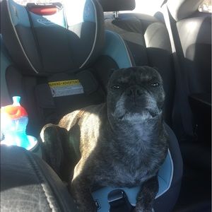 Meet your Posher, Mary