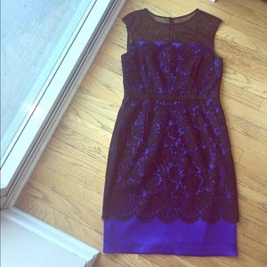 Eliza J Cobalt Blue and Black Lace Dress