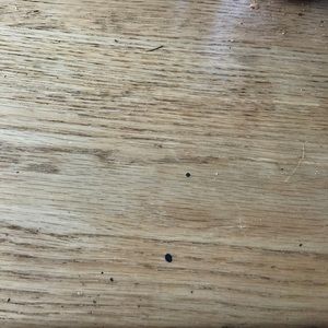 Meet your Posher, Haley