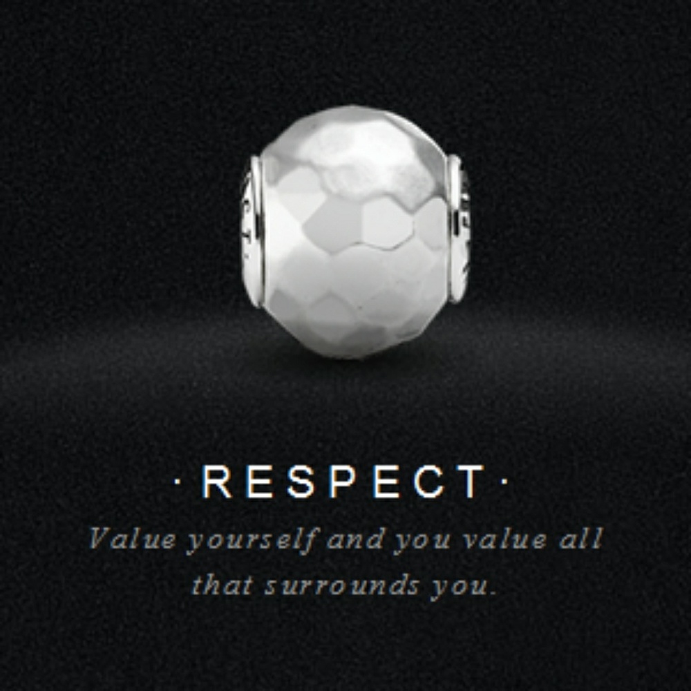 Discontinued Pandora Essence Respect charm