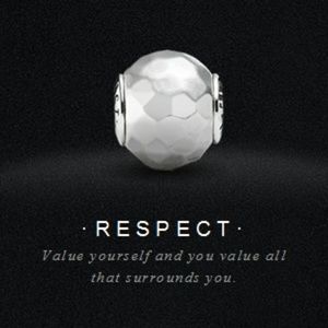 Discontinued Pandora Essence Respect charm