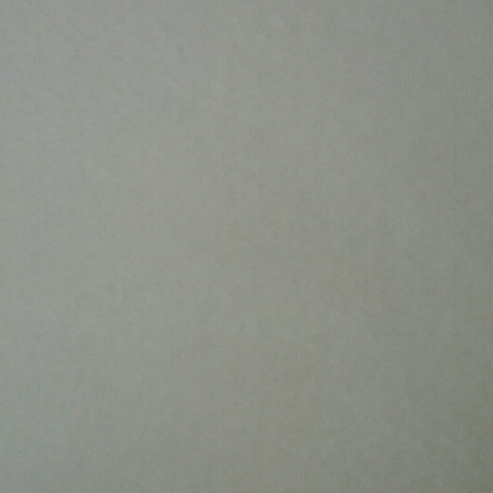 Meet your Posher, Lynn