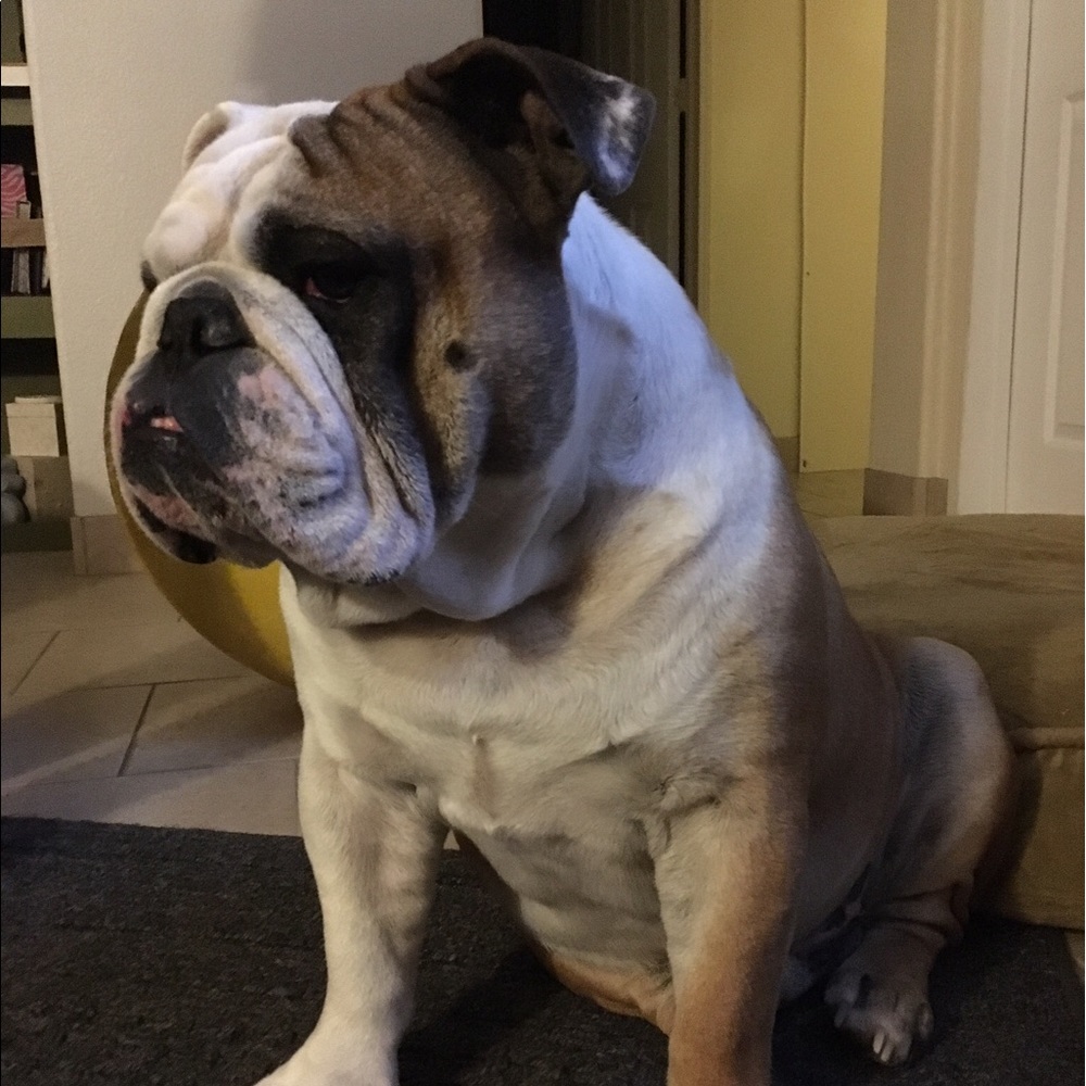 Meet your Posher, Danielle