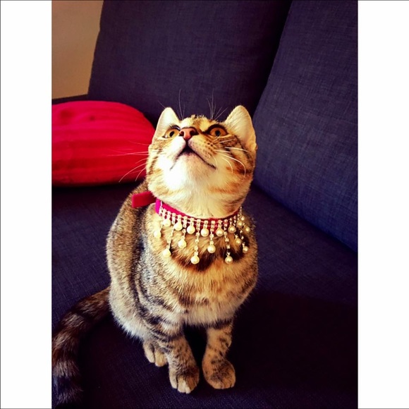 Fancy Choker Necklace. - Picture 1 of 2