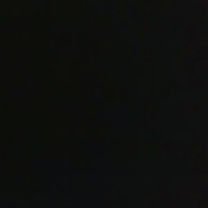 Meet your Posher, Leila