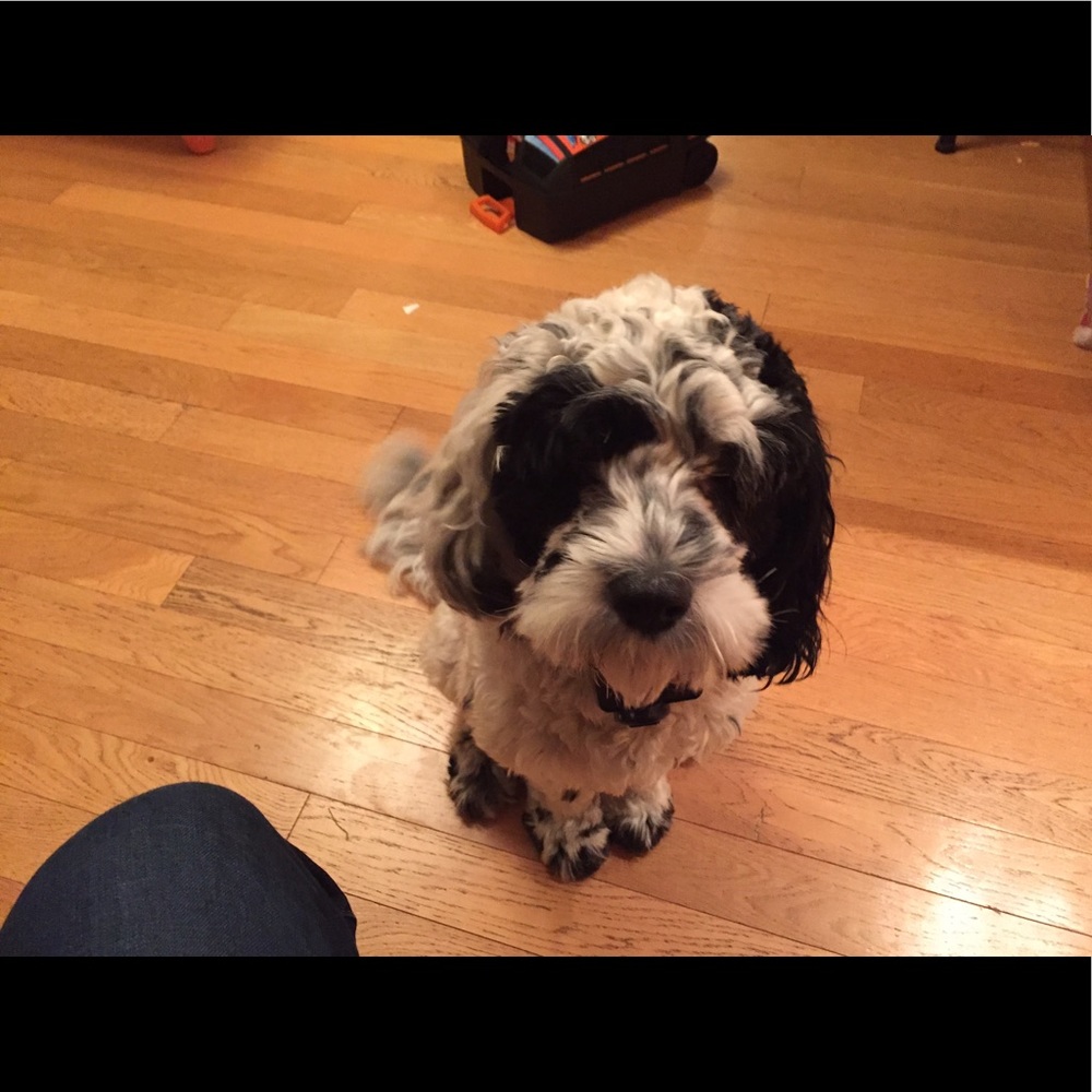 Meet your Posher, Sarah