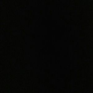 Meet your Posher, Mattie