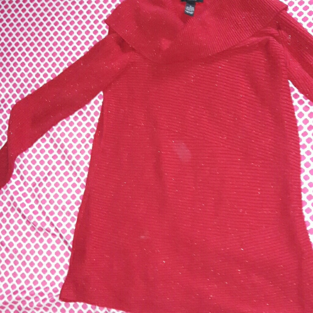 sparkly red Alfani long top