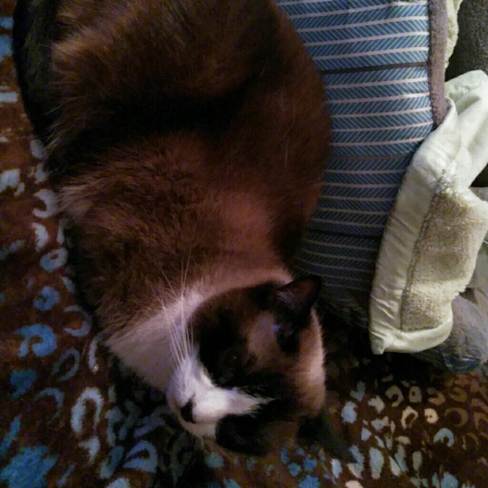 Meet your Posher, Marlene