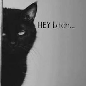 Meet your Posher, Jada