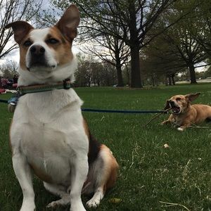 Meet your Posher, Sofia