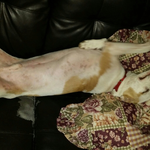 Meet your Posher, Shaina - Picture 2 of 4