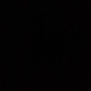 Meet your Posher, Bess