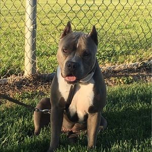 Meet your Posher, Lindsey